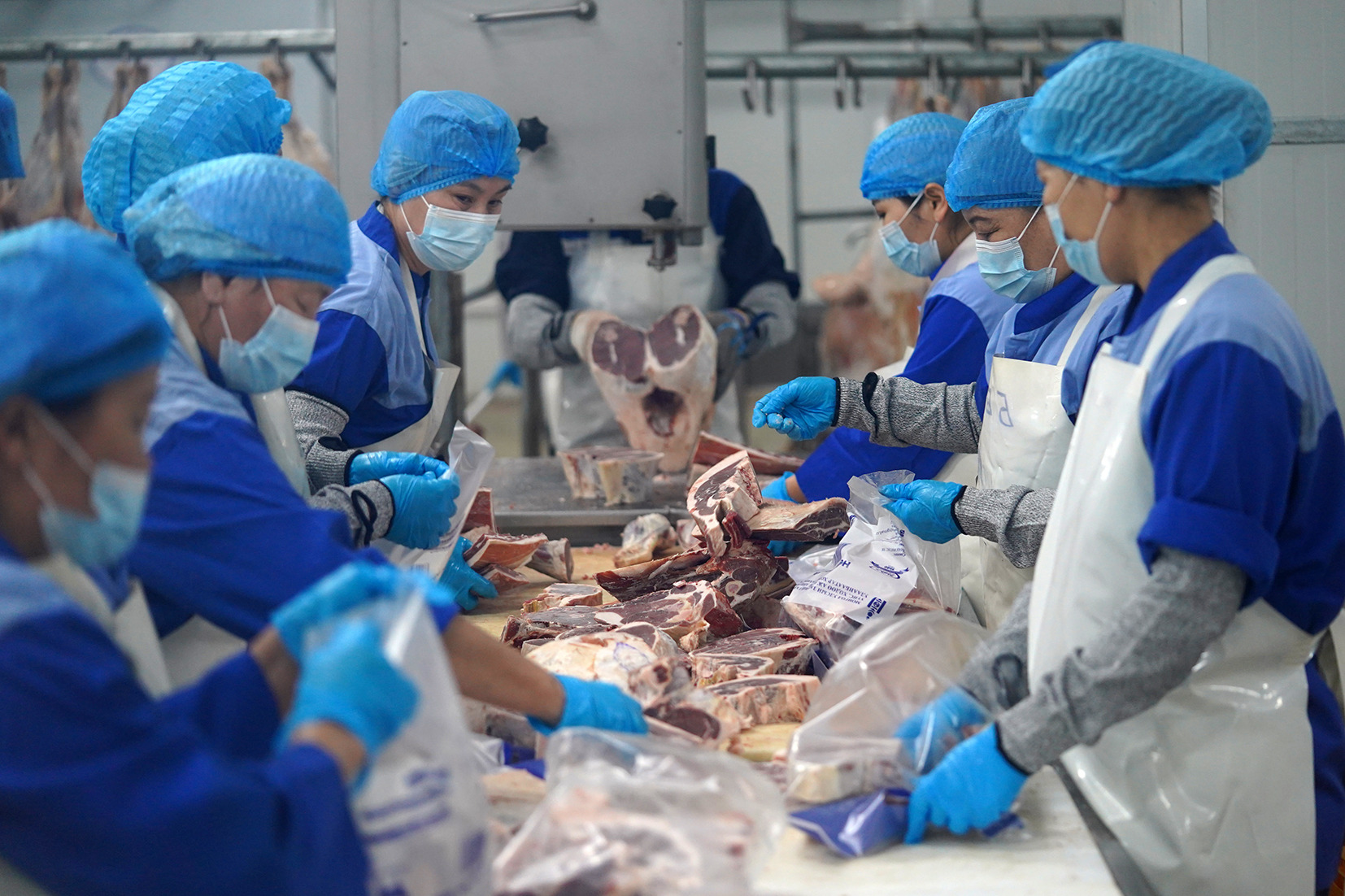 Махны үнийг тогтворжуулах зорилгоор нөөцийн махны борлуулалтыг өнгөрсөн жилээс эрт эхлүүлжээ